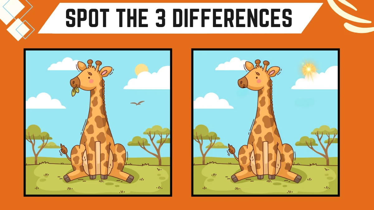 Spot the Difference Game: Only 50/50 Vision People Can Spot the 3 Differences in this Giraffe Image in 12 Secs