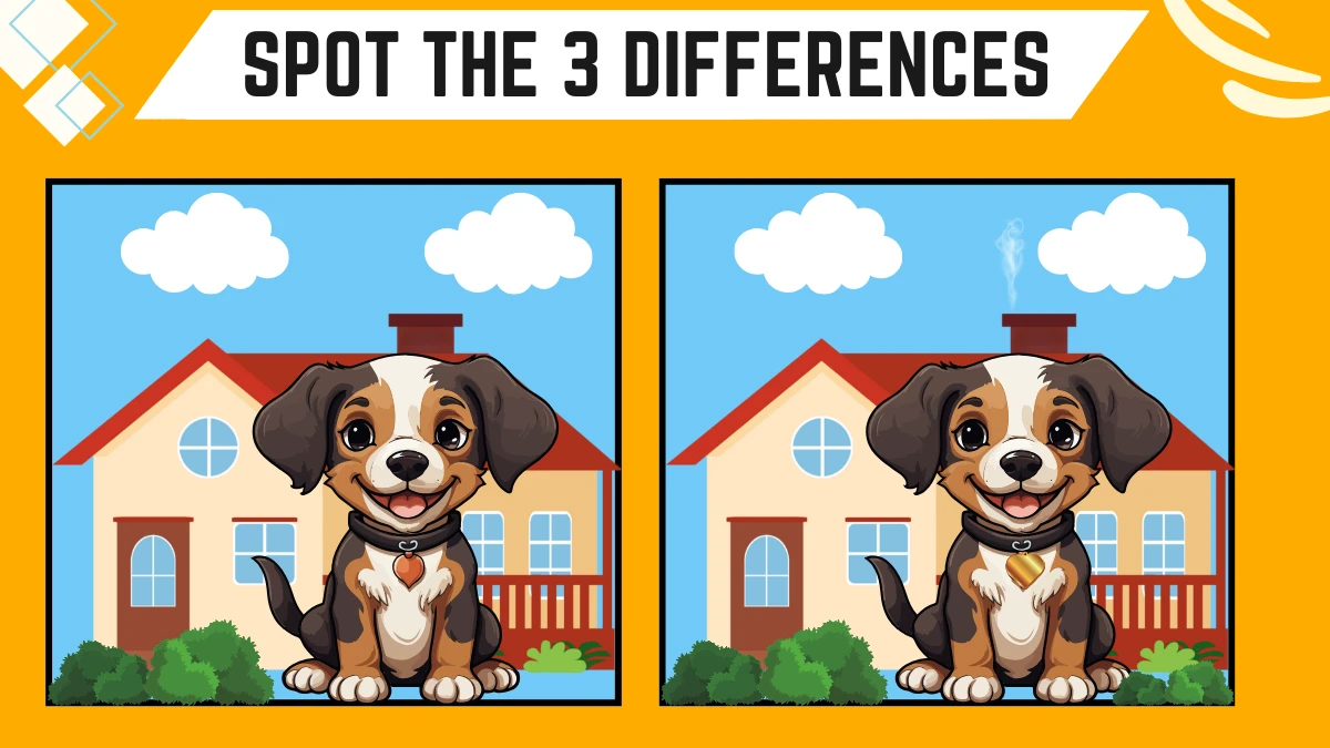 Spot the Difference Game: Only Extra Sharp Eyes Can Spot the 3 Differences in this Dog Image in 10 Secs