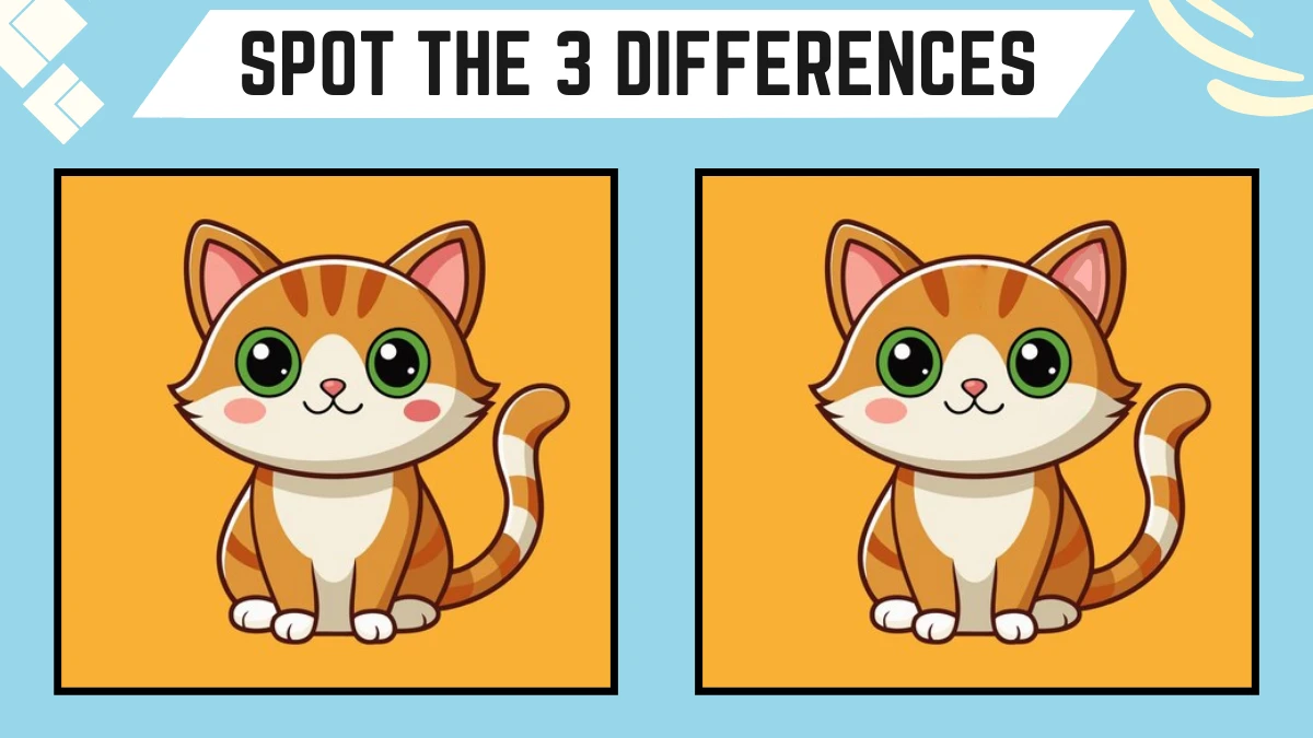 Spot the Difference Game: Only Genius with Extra Sharp Eyes Can Spot the 3 differences in this Cat Image in 9 Secs