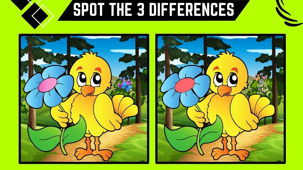 Spot the Difference Game: Only people with 20/20 Vision Can Spot the 3 Differences in this Chick Image in 9 Secs