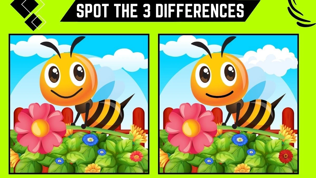 Spot the Difference Game: Only Sharpest Eyes Can Spot the 3 Differences in this Bee Image in 7 Secs