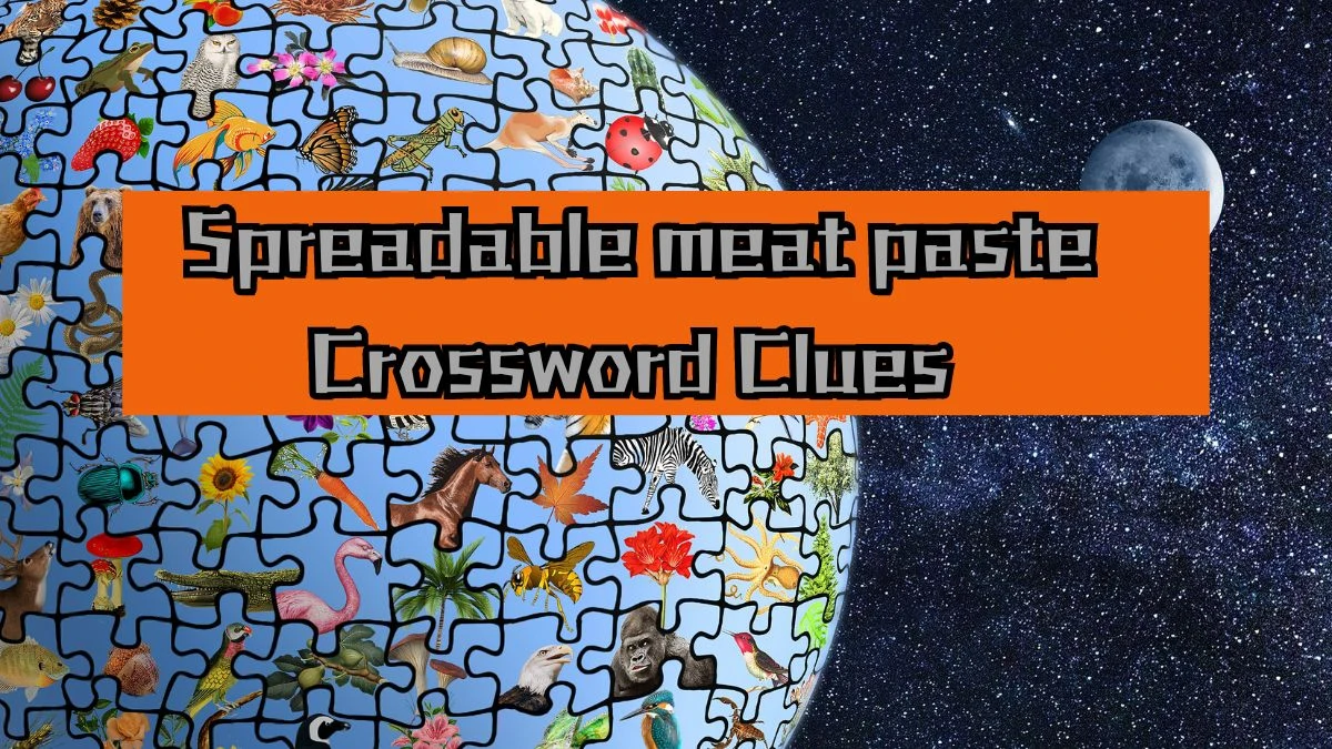 USA Today Spreadable meat paste Crossword Clue Puzzle Answer from August 12, 2024