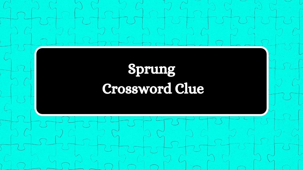 Sprung NYT Crossword Clue Puzzle Answer on August 10, 2024