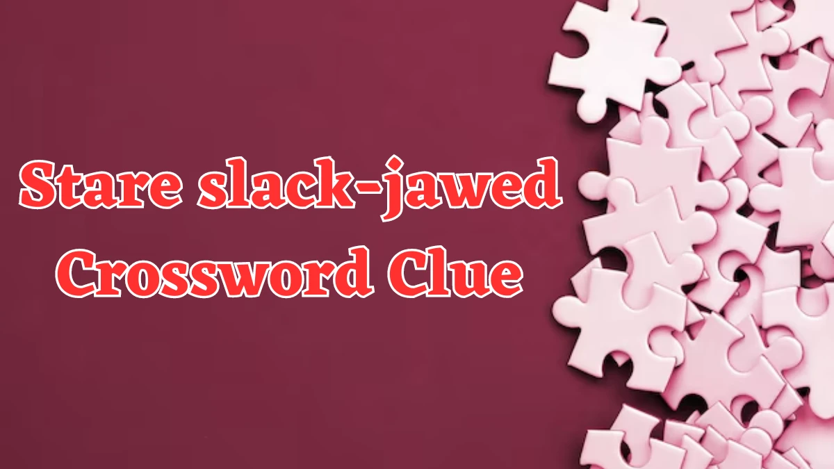 Stare slack-jawed Universal Crossword Clue Puzzle Answer from August 03, 2024