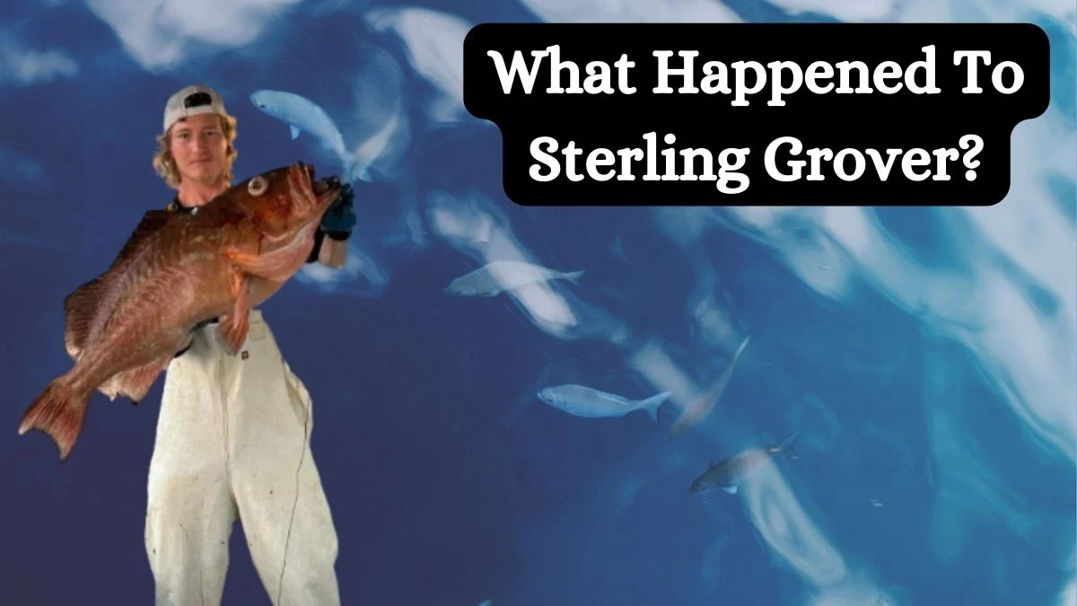 Sterling Grover Missing, What Happened To Sterling Grover?