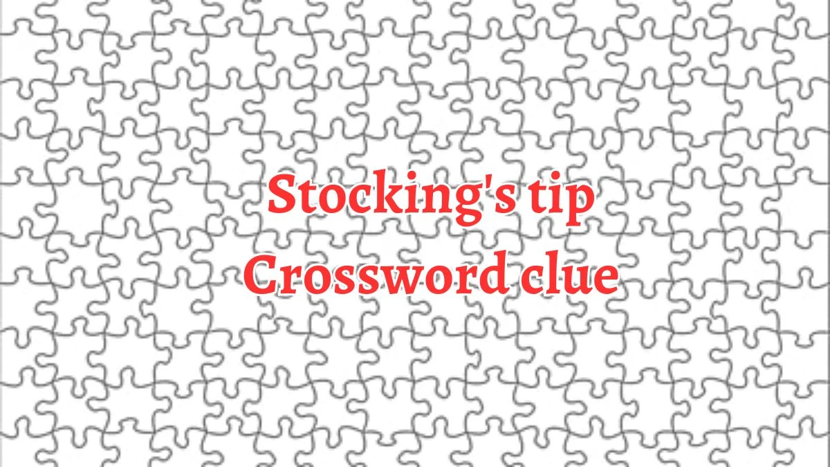 Stocking's tip Daily Themed Crossword Clue Puzzle Answer from August 20, 2024