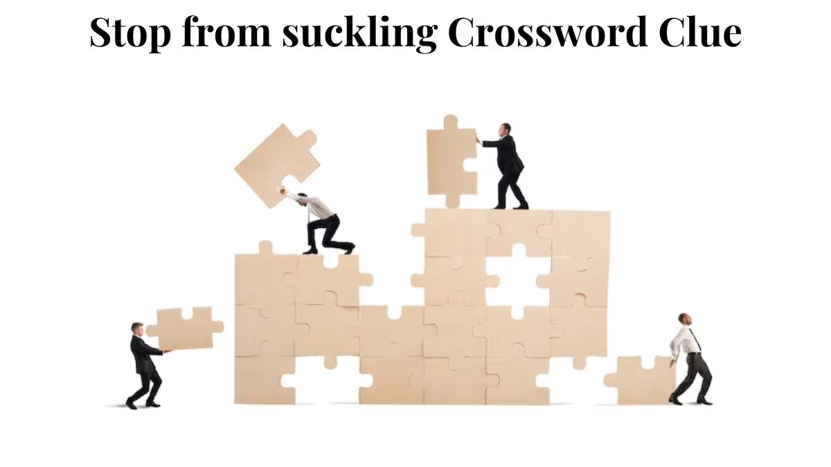 Stop from suckling Daily Commuter Crossword Clue Puzzle Answer from August 03, 2024