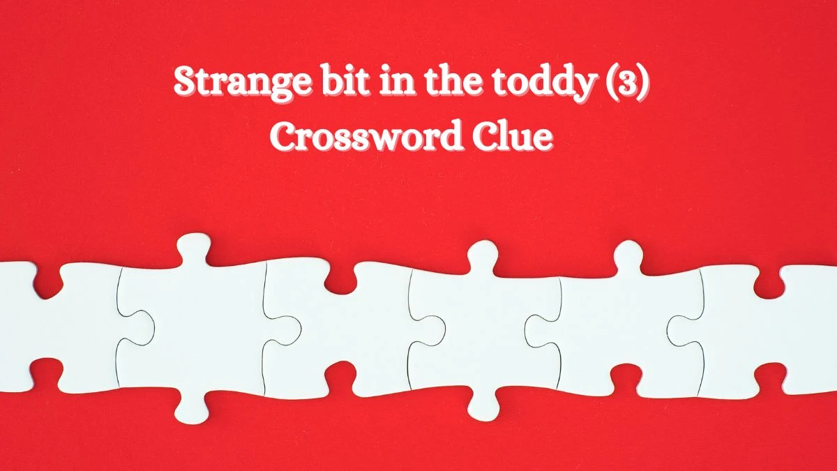 Strange bit in the toddy (3) Crossword Clue Puzzle Answer from August 07, 2024