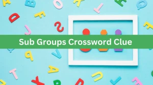 Sub Groups NYT Crossword Clue Puzzle Answer on August 09, 2024