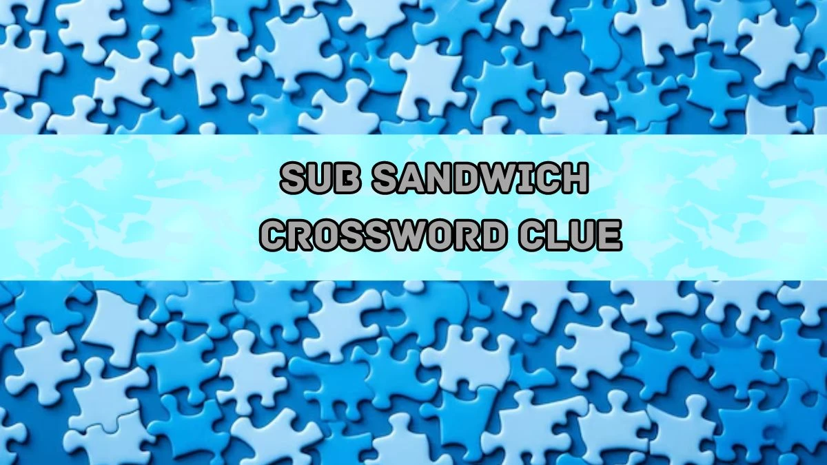 NYT Sub sandwich Crossword Clue Puzzle Answer from August 20, 2024