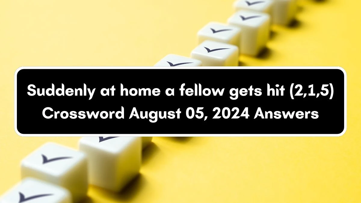 Suddenly at home a fellow gets hit (2,1,5) Crossword Clue Puzzle Answer from August 05, 2024