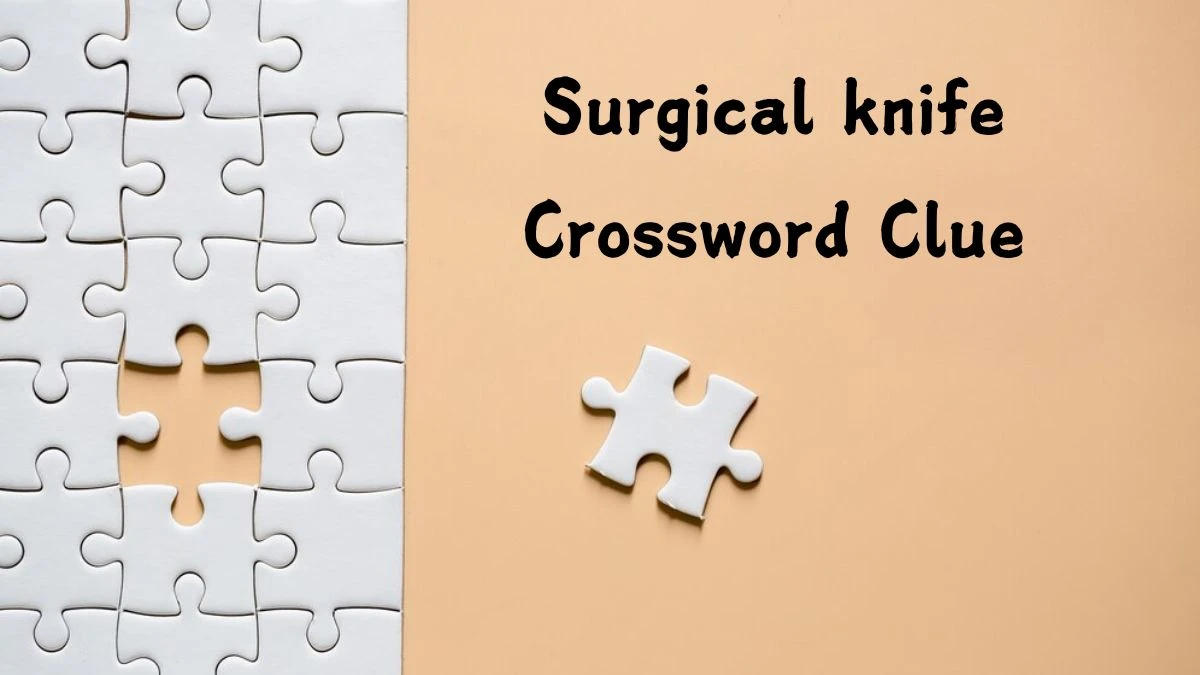 Irish Daily Mail Quick Surgical knife Crossword Clue Puzzle Answer from August 11, 2024