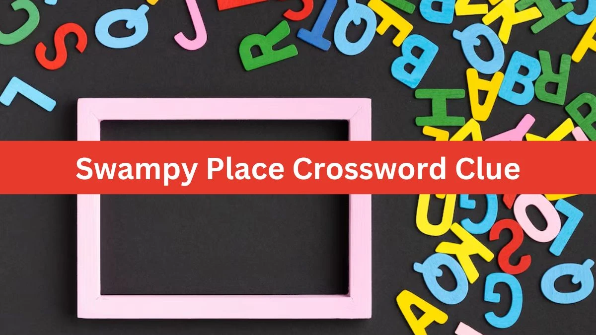 Swampy Place Daily Themed Crossword Clue Answers on August 03, 2024