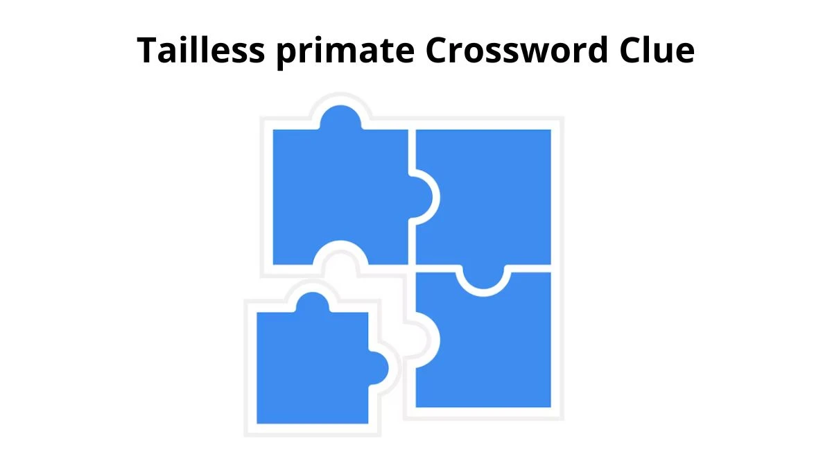 Tailless primate Daily Commuter Crossword Clue Puzzle Answer from August 01, 2024