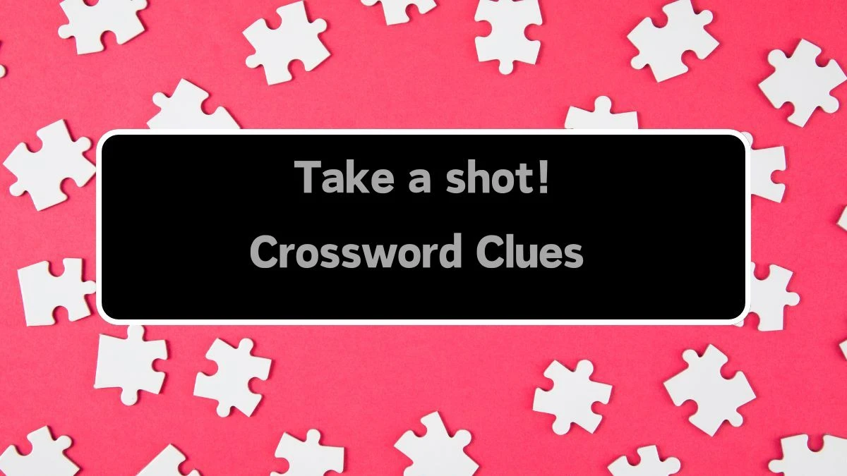 Take a shot! Daily Themed Crossword Clue Puzzle Answer from August 12, 2024