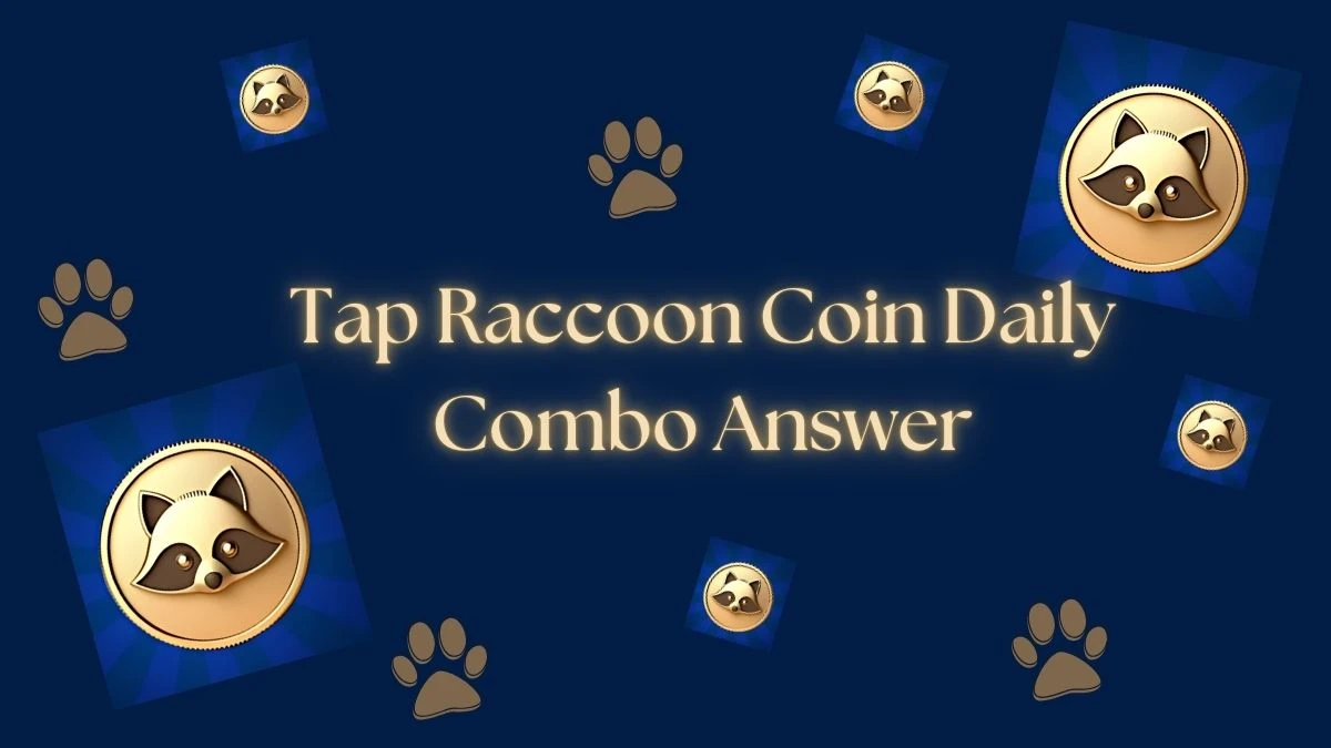 Tap Raccoon Coin Daily Combo 24 August 2024