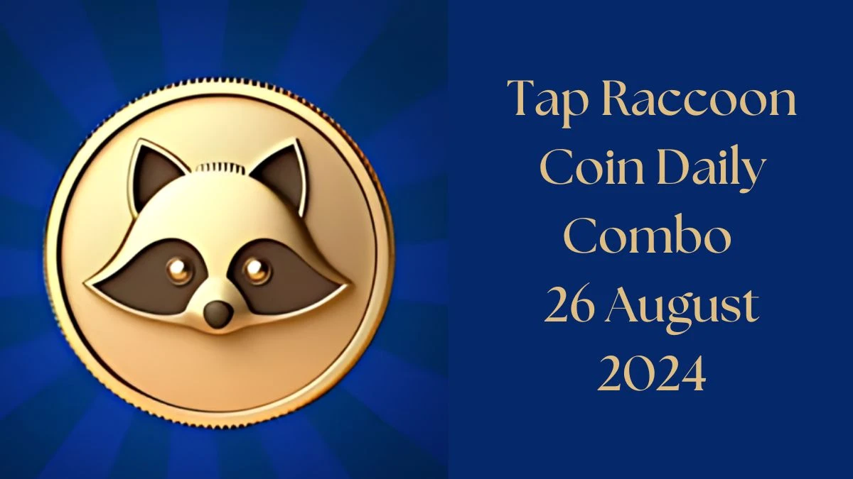 Tap Raccoon Coin Daily Combo 26 August 2024