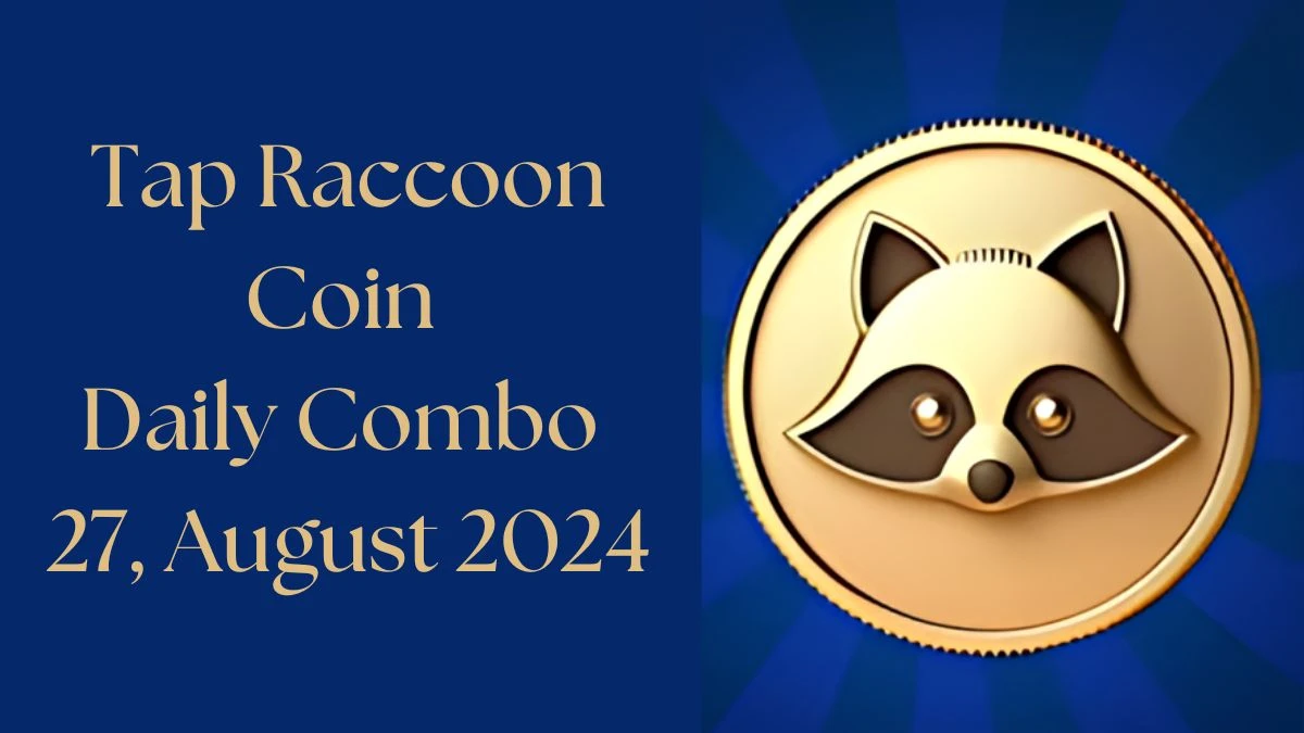 Tap Raccoon Coin Daily Combo 27, August 2024