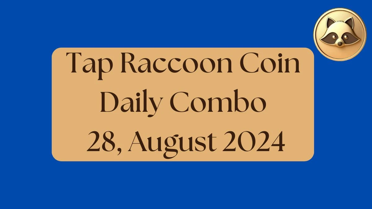 Tap Raccoon Coin Daily Combo 28, August 2024