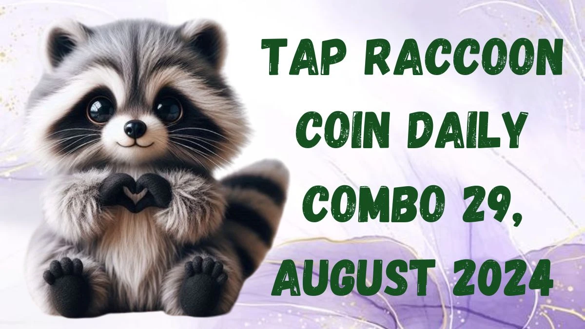 Tap Raccoon Coin Daily Combo 29, August 2024