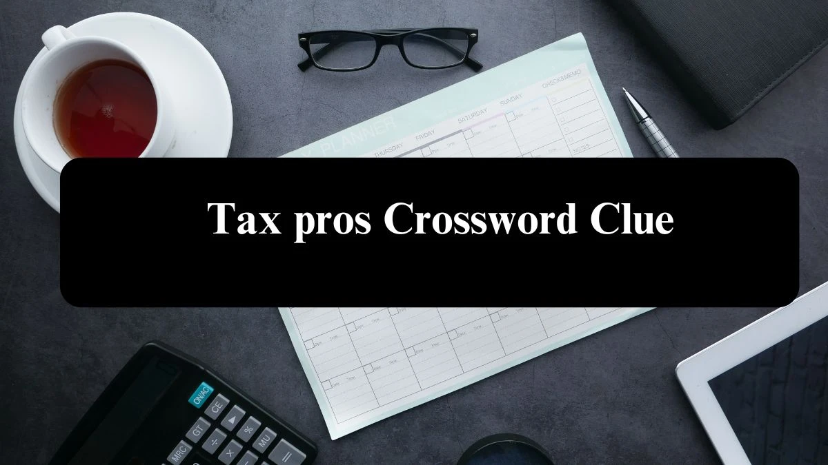 Universal Tax pros Crossword Clue Puzzle Answer from August 07, 2024