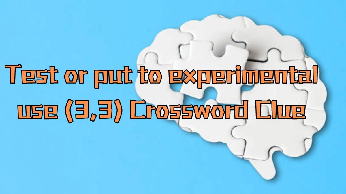 Test or put to experimental use (3,3) Irish Daily Mail Quick Crossword Clue Puzzle Answer from August 31, 2024