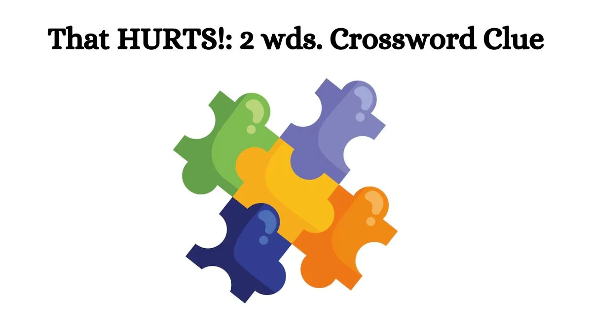 Daily Commuter That HURTS!: 2 wds. Crossword Clue 4 Letters Puzzle Answer from August 02, 2024