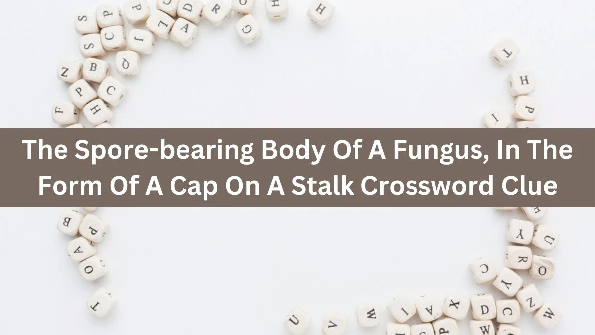 The Spore-bearing Body Of A Fungus, In The Form Of A Cap On A Stalk Crossword Clue Answers on August 22, 2024