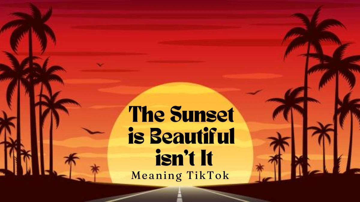 The Sunset is Beautiful isn't It Meaning TikTok - A Phrase to Cherish Memories!