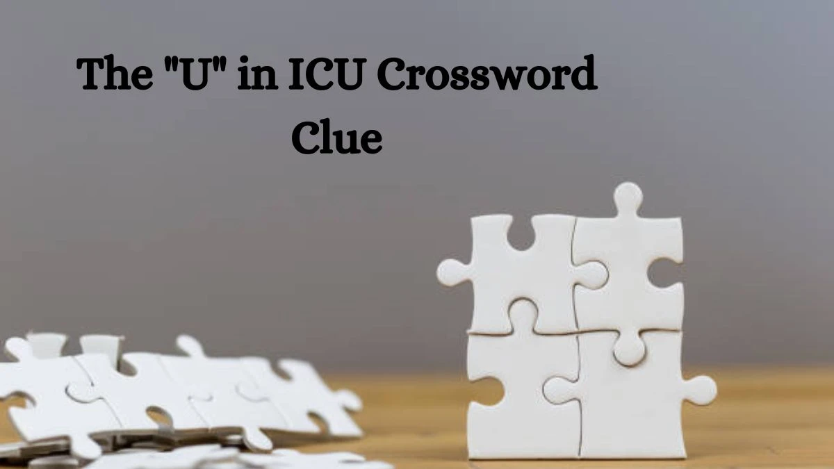 The U in ICU Daily Themed Crossword Clue Puzzle Answer from August 22, 2024