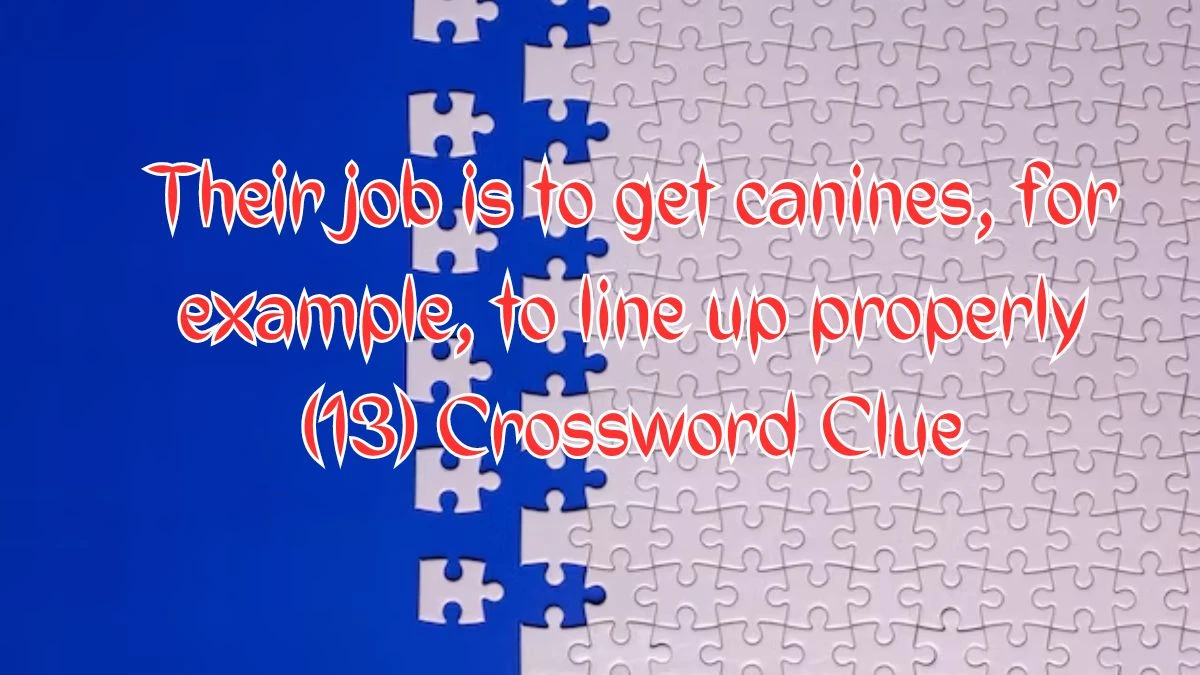 NYT Their job is to get canines, for example, to line up properly (13) Crossword Clue Puzzle Answer from August 09, 2024