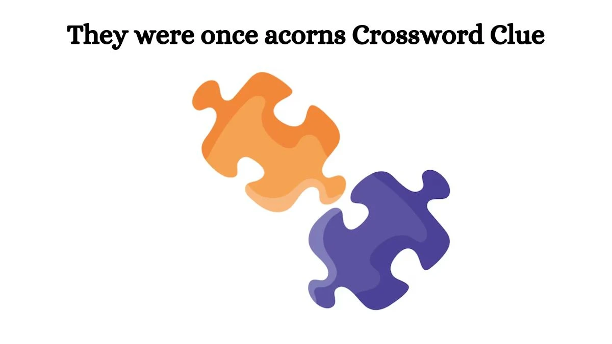 They were once acorns Universal Crossword Clue Puzzle Answer from August 03, 2024