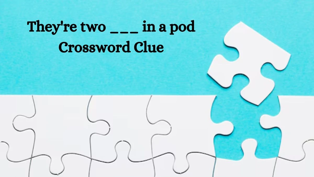 USA Today They're two ___ in a pod Crossword Clue Puzzle Answer from August 07, 2024