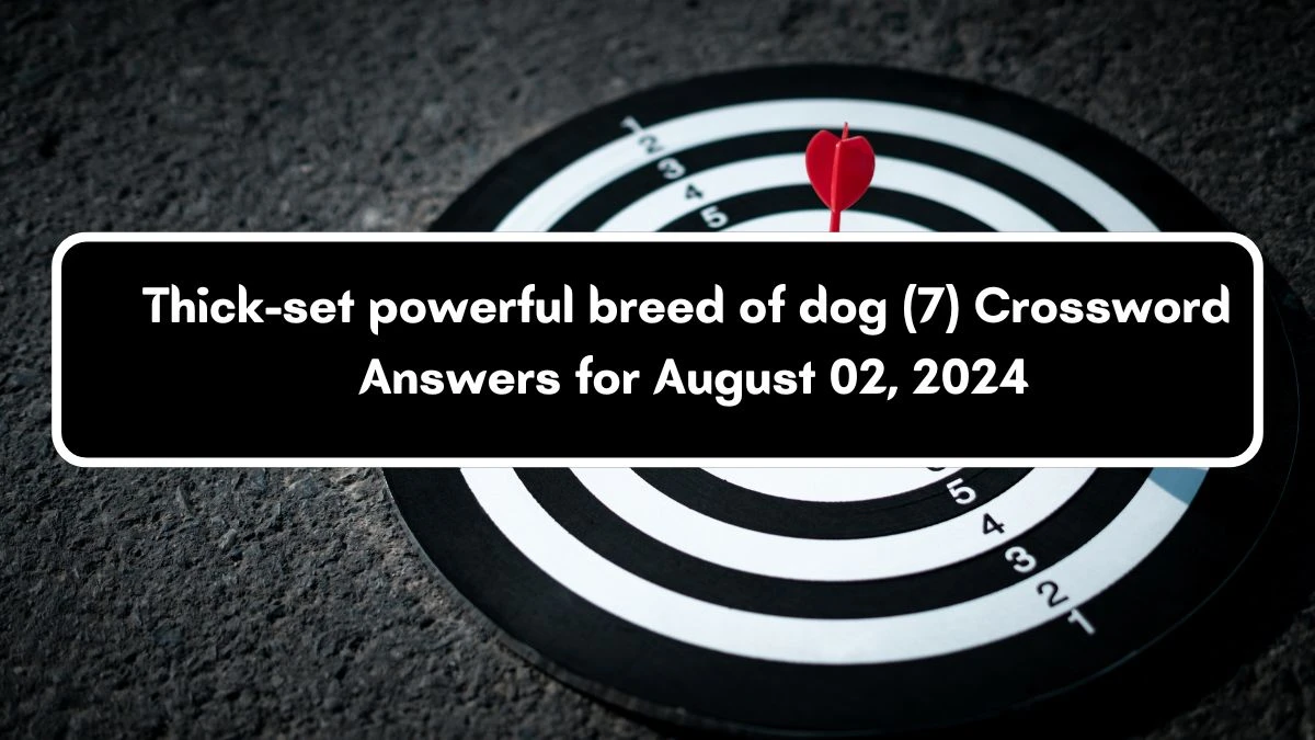 Thick-set powerful breed of dog (7) Crossword Clue Answers on August 02, 2024