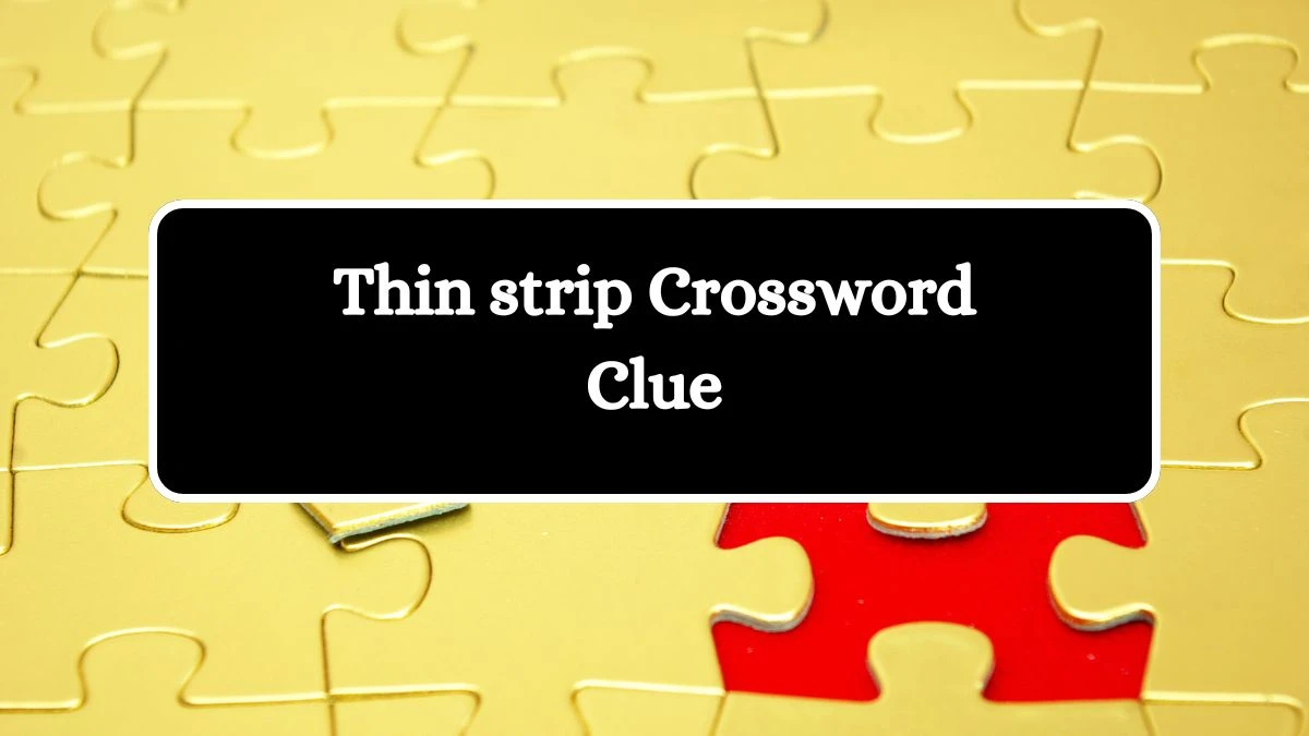 Thin strip NYT Crossword Clue Puzzle Answer on August 10, 2024