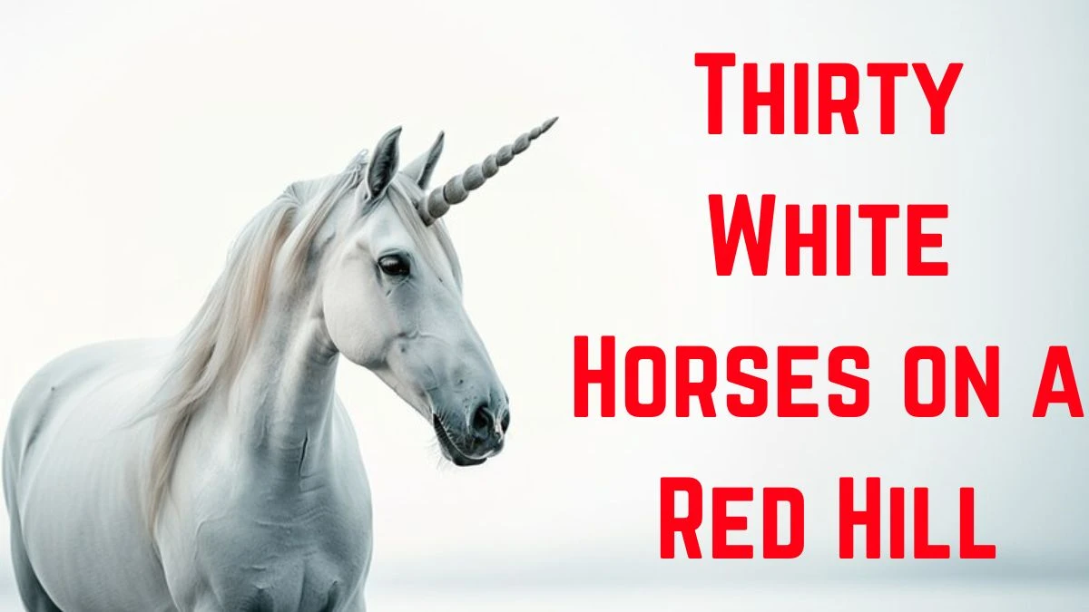 Thirty White Horses on a Red Hill Riddle Answer and Explanation