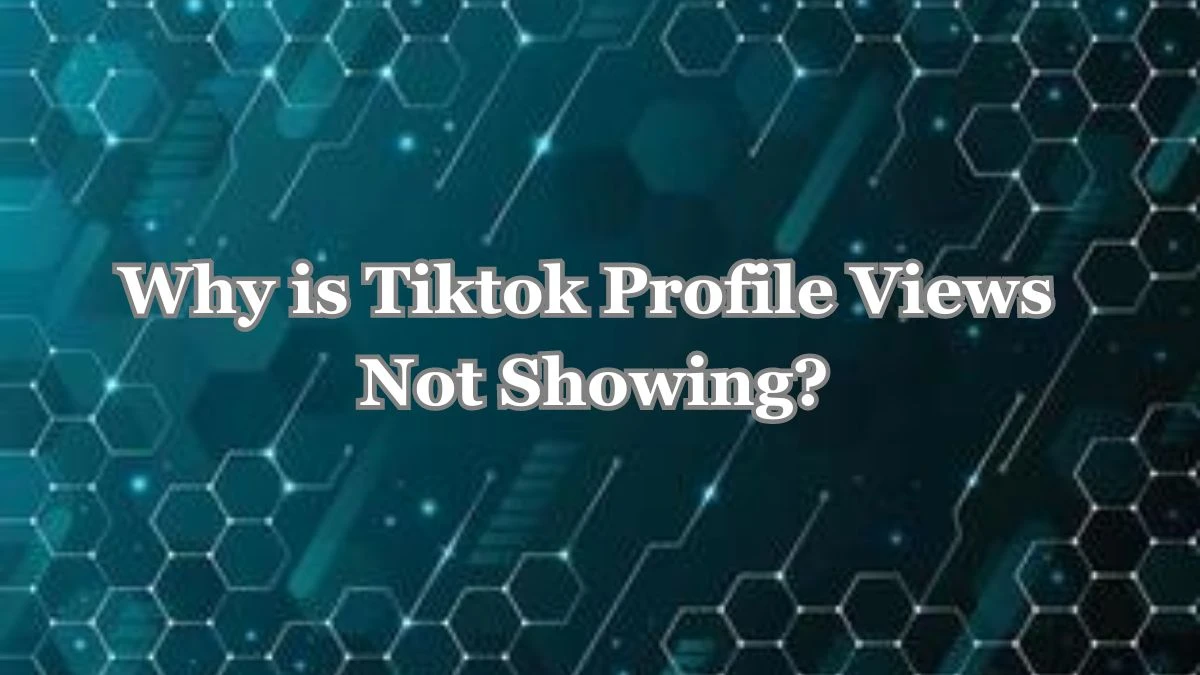 Tiktok Profile Views Not Showing, How to Fix Tiktok Profile Views Not Showing Issue?