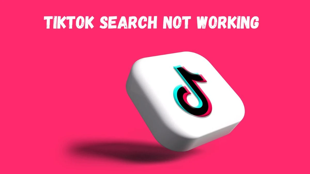 Tiktok Search Not Working, How To Fix Tiktok Search Not Working?