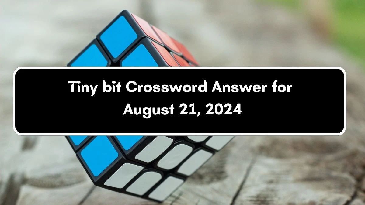 LA Times Tiny bit Crossword Clue Puzzle Answer from August 21, 2024