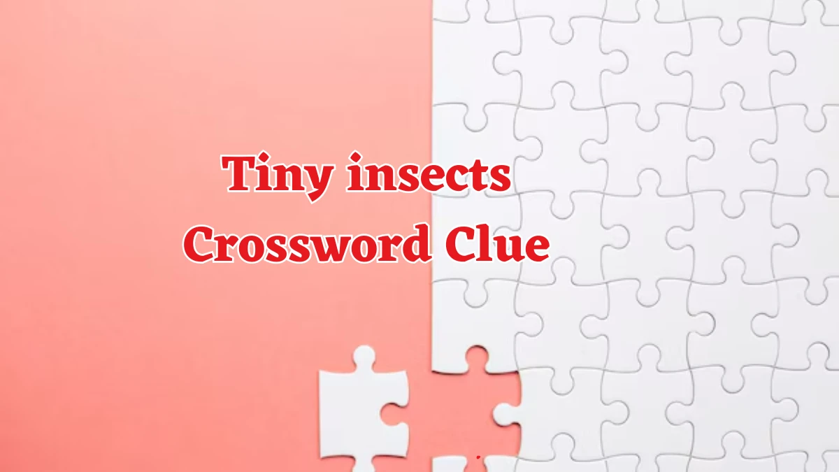 Tiny insects Crossword Clue Puzzle Answer from August 17, 2024