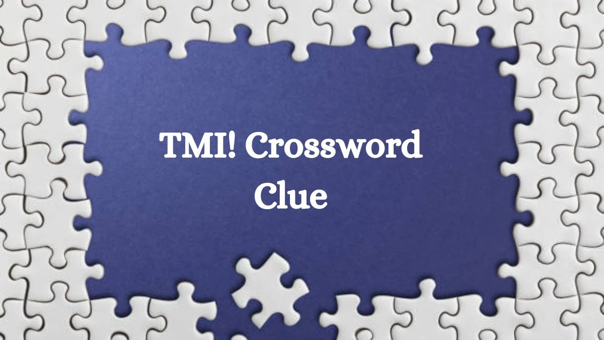 LA Times TMI! Crossword Clue Puzzle Answer from August 03, 2024