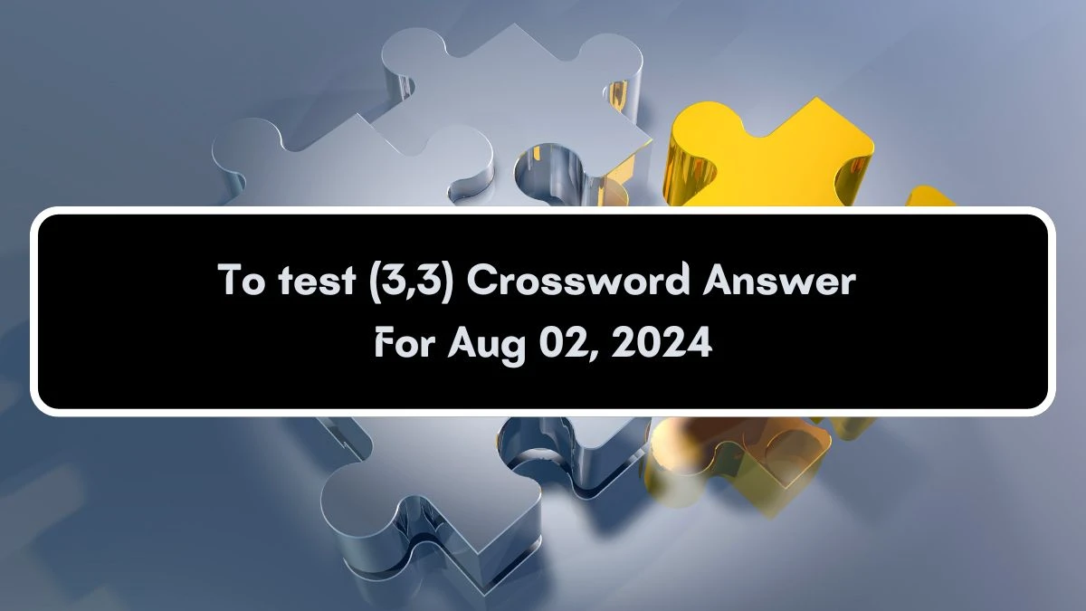 To test (3,3) Crossword Clue Puzzle Answer from August 02, 2024