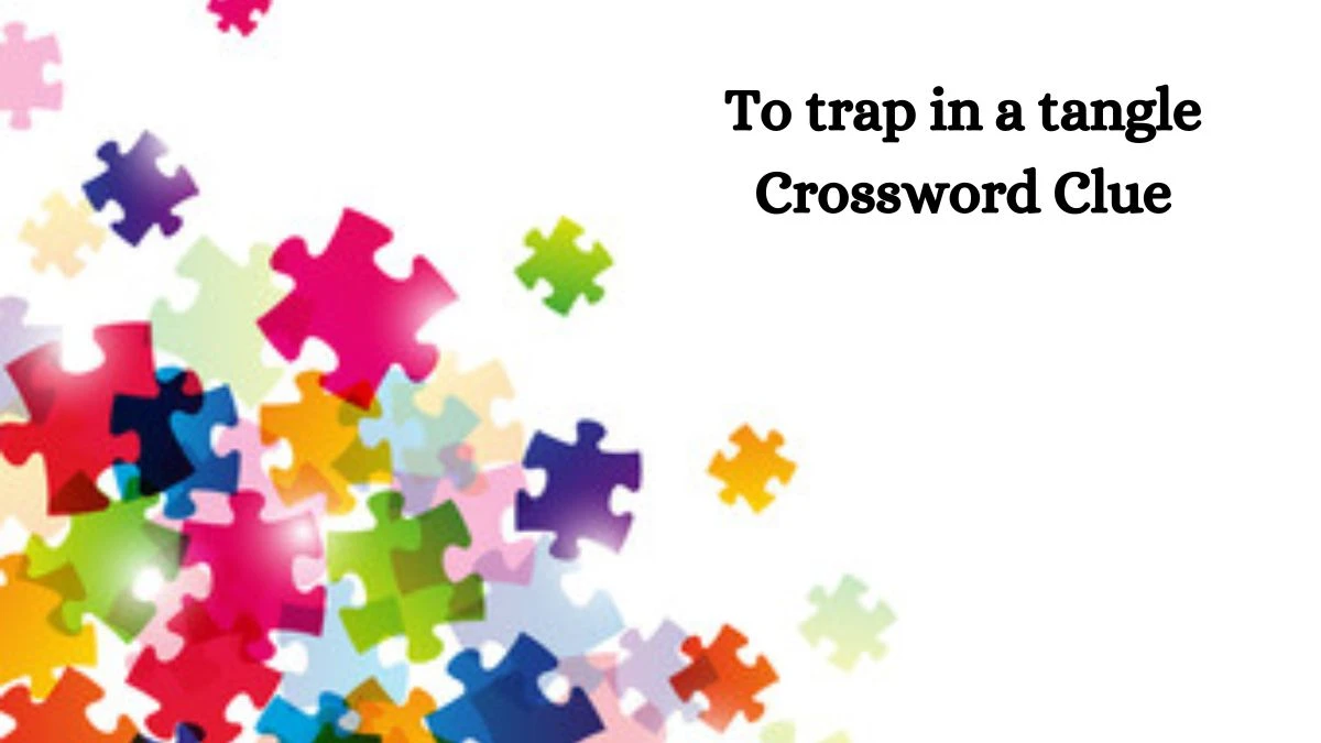 To trap in a tangle Crossword Clue Puzzle Answer from August 16, 2024