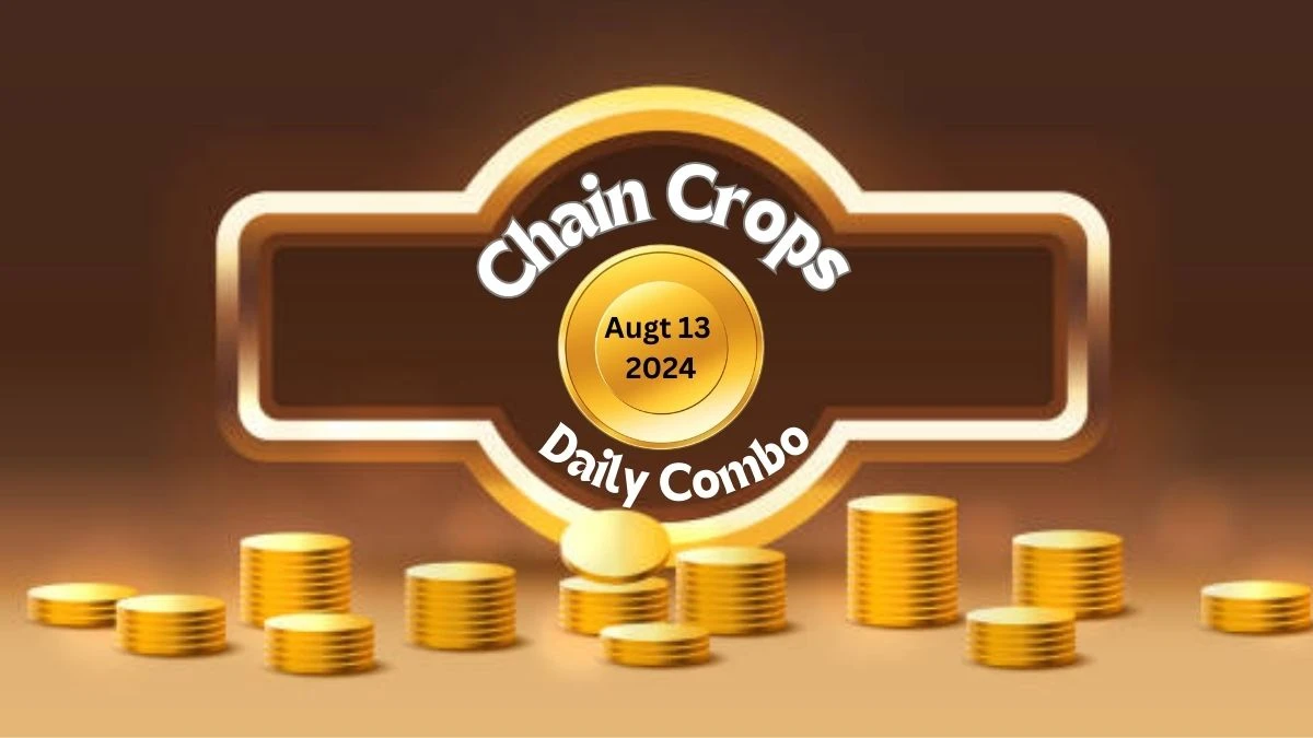 Today's Chain Crops Daily Combo August 13 2024 - Check the Cards Arrangement!