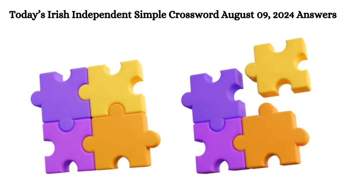 Today’s Irish Independent Simple Crossword August 09, 2024 Answers