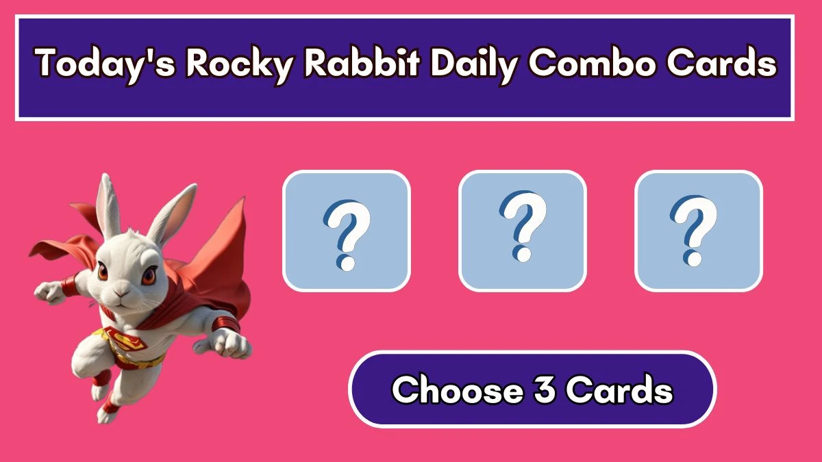 Today's Rocky Rabbit Daily Combo Cards August 01 2024