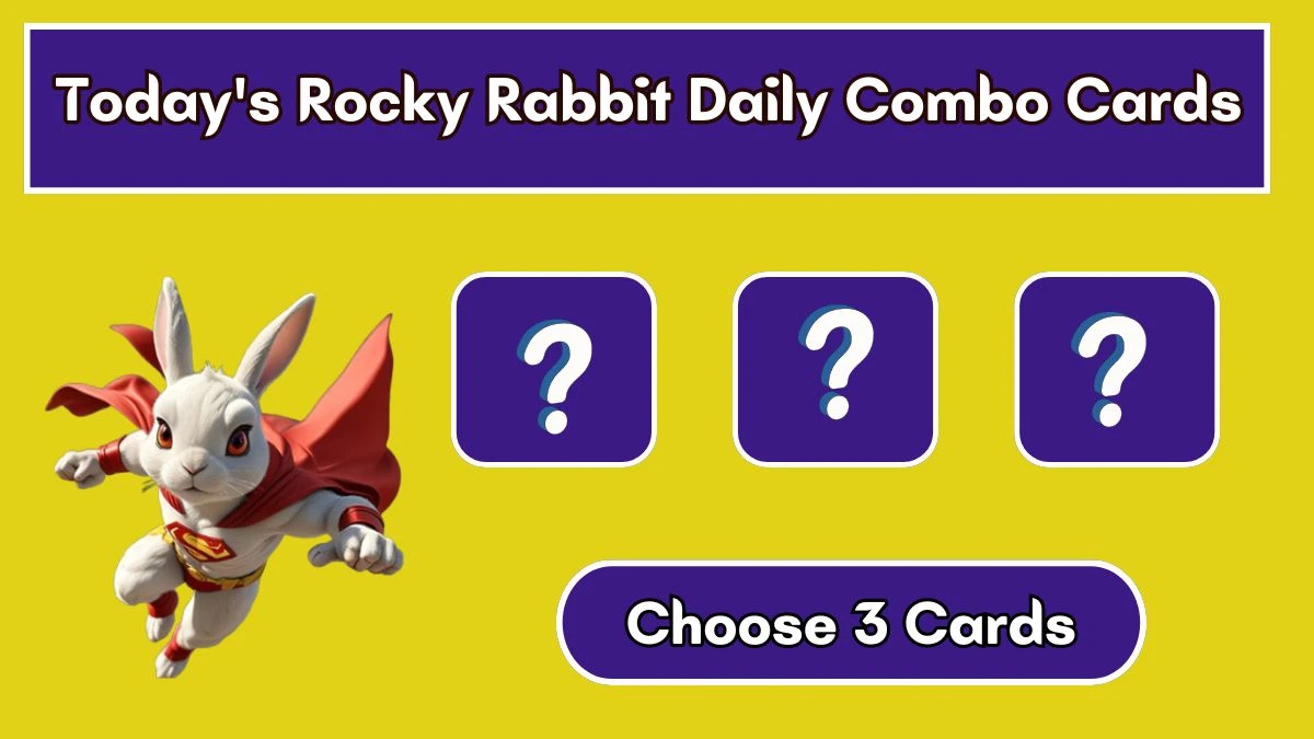 Today's Rocky Rabbit Daily Combo Cards August 02 2024