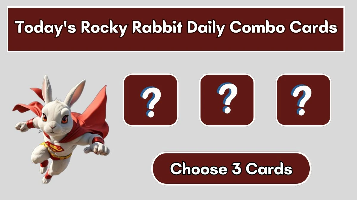 Today's Rocky Rabbit Daily Combo Cards August 03 2024