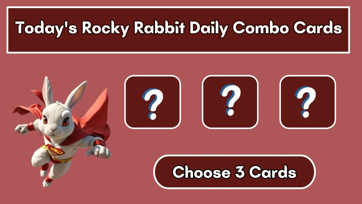 Today's Rocky Rabbit Daily Combo Cards August 05 2024