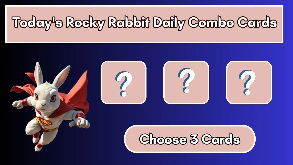 Today's Rocky Rabbit Daily Combo Cards August 06 2024